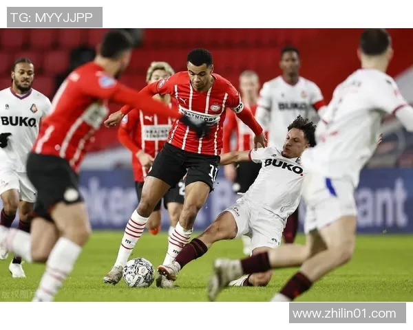 河北翔蓝与福建闪电的激烈对决谁能笑到最后精彩赛事即将上演